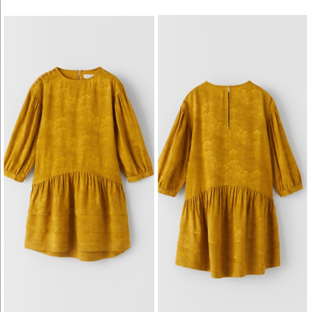 NWT ZARA Floral Dress